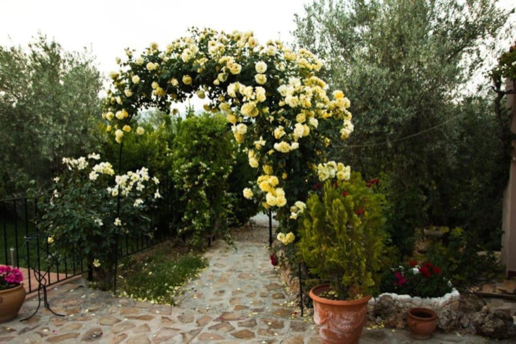 Cazorla-Alcon, Casa Hoya Don Gaspar Pozo Alcón Εξωτερικό φωτογραφία